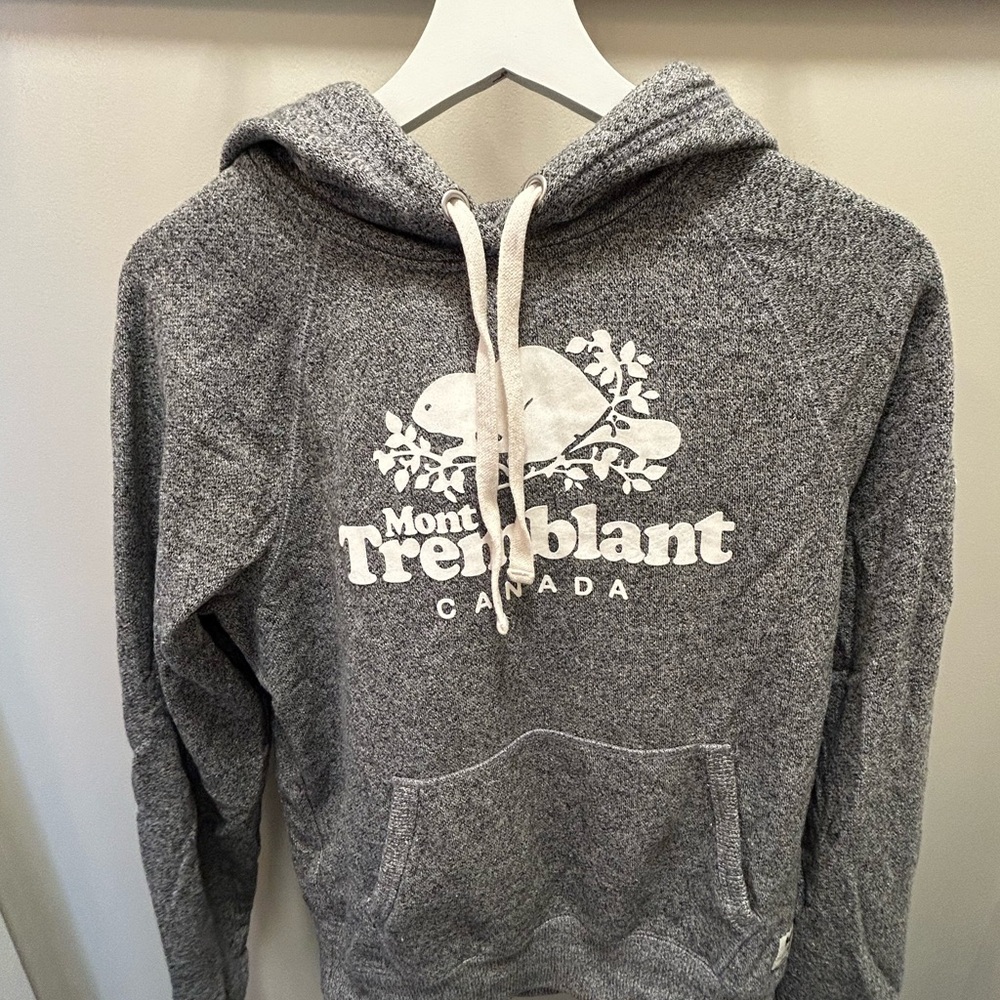 Roots Mount Tremblant Hoodie in grey.  Very lightly worn, new condition.